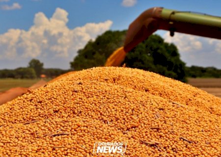 Comissão de Agricultura debate rastreabilidade de agrotóxicos e certificação de grãos