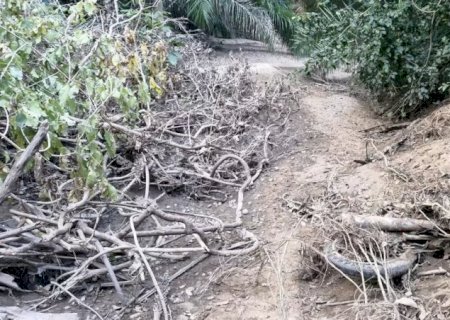 Moto enterrada ao lado de ossada pode esclarecer desaparecimento de casal