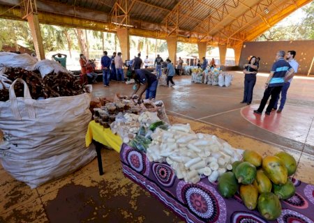 Prefeitura distribui 100 toneladas de alimentos nas aldeias