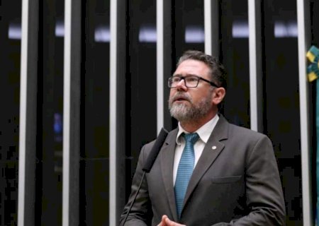 Comissão da Câmara aprova projeto que autoriza porte de arma para médicos veterinários