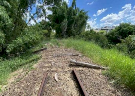 Furto de 1,6 km de trilhos leva empresa a pedir reintegração de posse de área