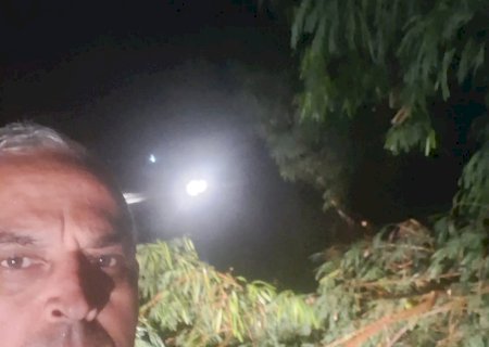 Forte chuva derruba galhos na MS-156 e mobiliza Defesa Civil e Bombeiros entre Itaporã e Dourados (Vídeo)