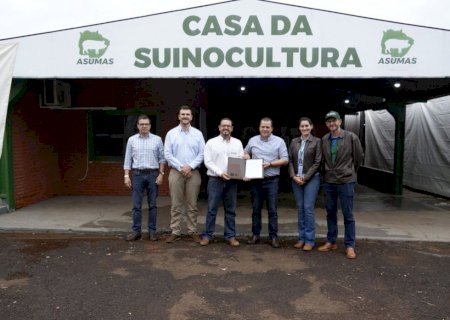 Asumas lança capacitação gratuita para desenvolver a suinocultura em MS