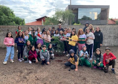 Itaporã - Alunos da Escola Sônia Teixeira Paiva participam de ação de plantio na Semana do Meio Ambiente