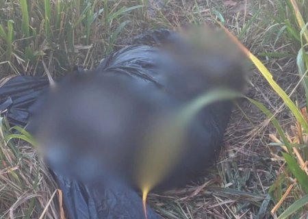 Corpo encontrado carbonizado em matagal era de idoso de 68 anos