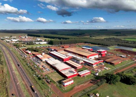 Frigorífico Aurora eleva abate para 5 mil suínos por dia em MS