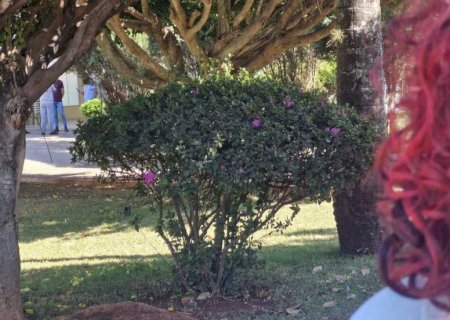 Idoso arrasta adolescente pelos cabelos e tenta estuprá-la