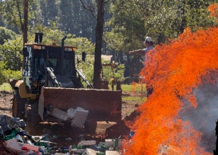 Polícia Civil incinera 5,5 toneladas de drogas apreendidas em apenas três meses em Caarapó