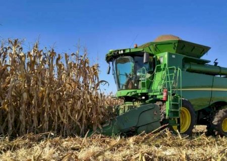 Quase 100% conclu&iacute;da, colheita do milho alcan&ccedil;a 2,194 milh&otilde;es de hectares