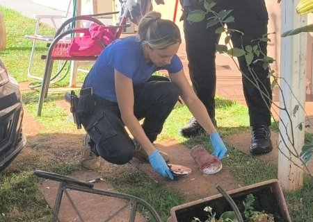 Idosa é atacada e esfaqueada pelo próprio filho em surto