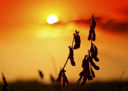 Em ano de El Niño, Mapa recebe da Embrapa 163 medidas para gestão de riscos climáticos no campo