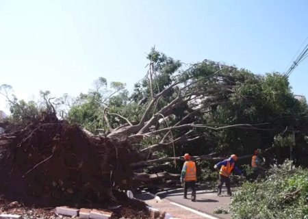 Prefeitura de Campo Grande decreta situação de emergência após tempestade devastadora