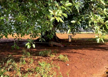 Homem é encontrado morto sob figueira em Dourados