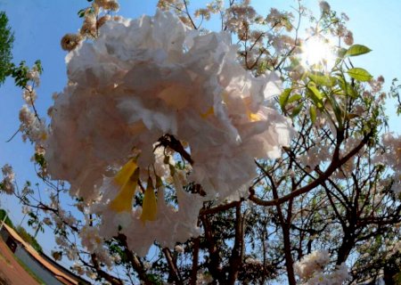 Primavera terá tempestades severas e risco de onda de calor em MS