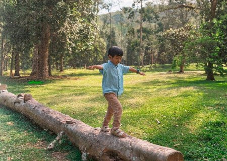 Nova lei federal garante direito de crianças à natureza e fortalece fiscalização nos municípios