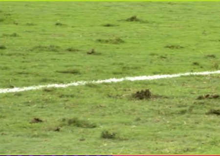 Gramado ruim chama atenção em amistoso da seleção brasileira; veja repercussão
