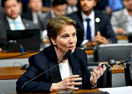 Senadora Tereza Cristina vota contra fim da escala 6x1 no Senado