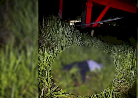 Tentativa de furto de cabos termina com homem morto eletrocutado na BR-158
