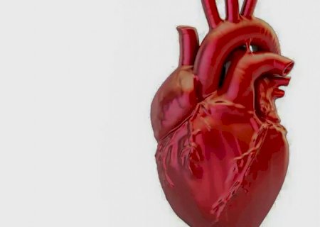 A cada 72 segundos, uma pessoa morre por doença cardiovascular no país