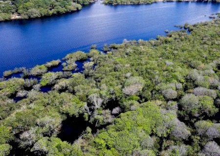 Desmatamento em áreas protegidas da Amazônia e do Cerrado tem queda