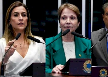 Senadores de MS celebram fim da escala 6x1; bancada votou unida