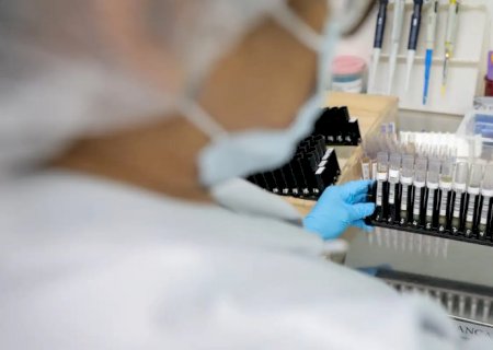 Malária: Anvisa autoriza teste em humanos de vacina 100% brasileira