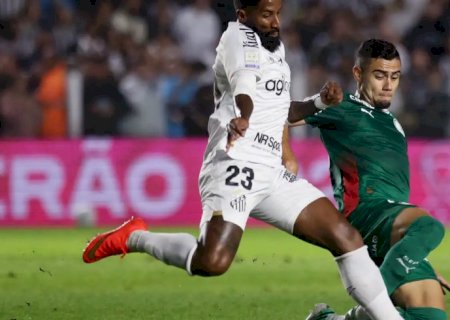 Brasileirão: Palmeiras fica no zero com o Santos e Flamengo agradece