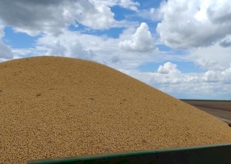Com novas regras tributárias, produtor de soja pode receber menos pela produção